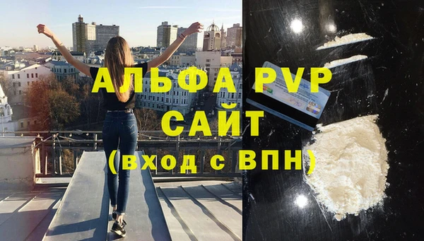 стаф Алексин