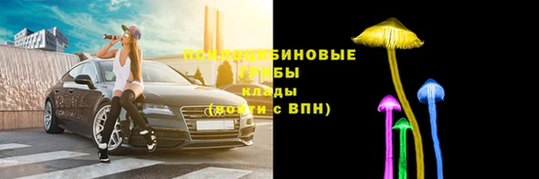 стаф Алексин
