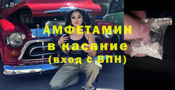 стаф Алексин