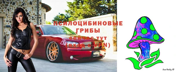 не бодяженный Алзамай