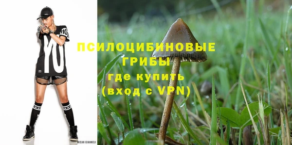 первитин Алексеевка