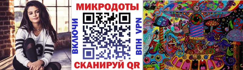 Галлюциногенные грибы Psilocybine cubensis  Челябинск 