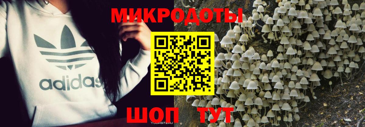 Псилоцибиновые грибы Cubensis Челябинск