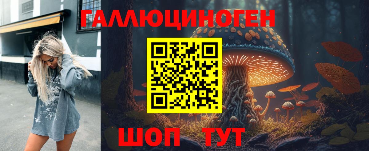 Псилоцибиновые грибы Cubensis  Вход с VPN  Челябинск 